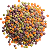 Legumes secs