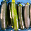 COURGETTES