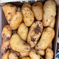 POMME DE TERRE