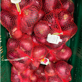 OIGNON ROUGE