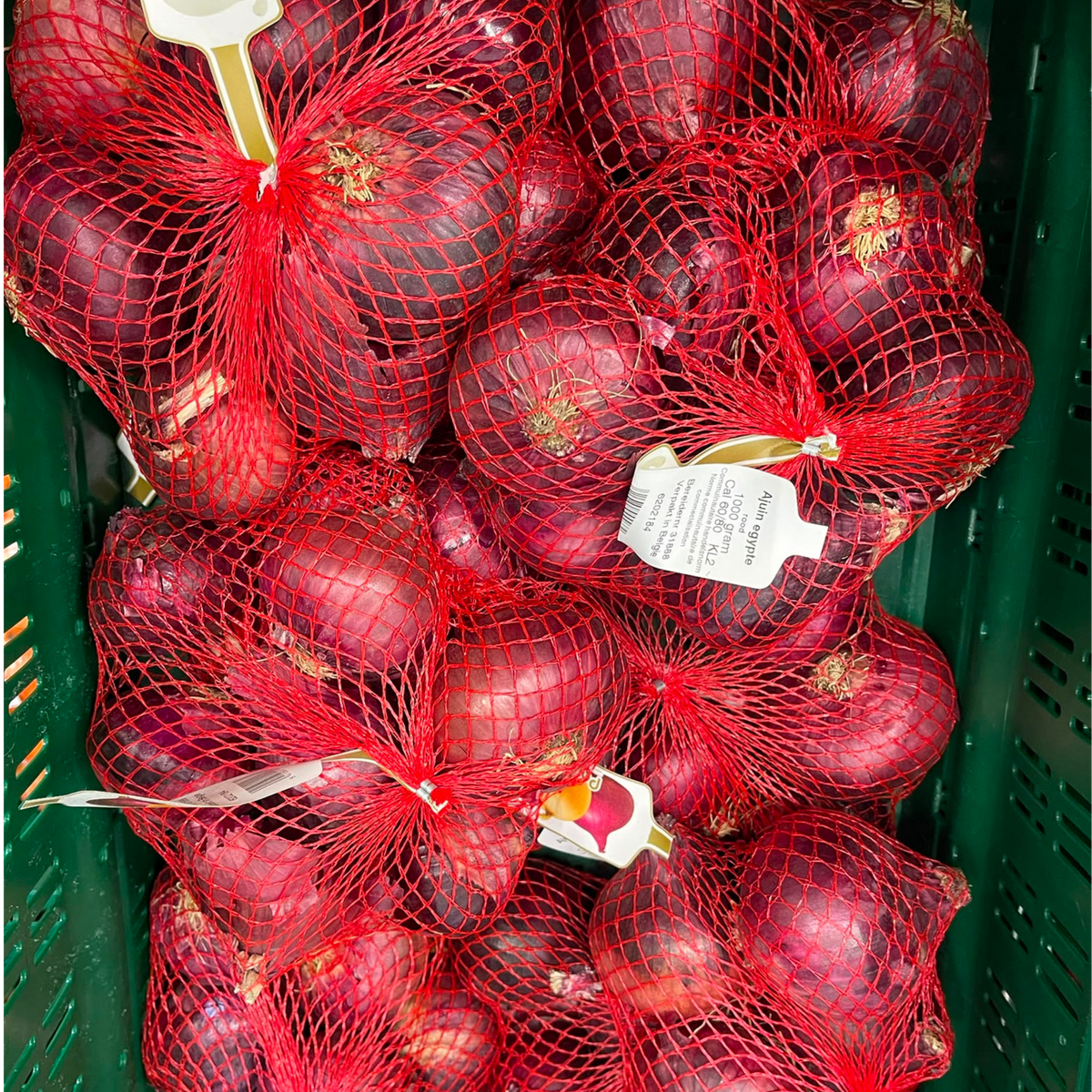 OIGNON ROUGE