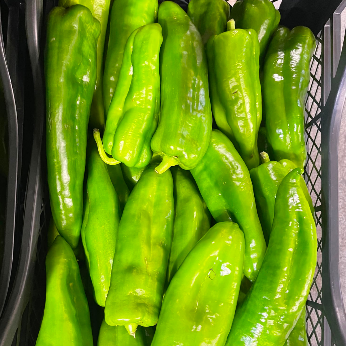 POIVRONS VERT