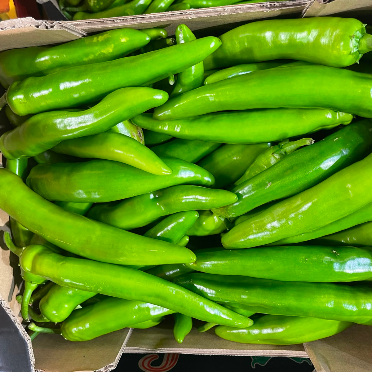 PIMENT VERT