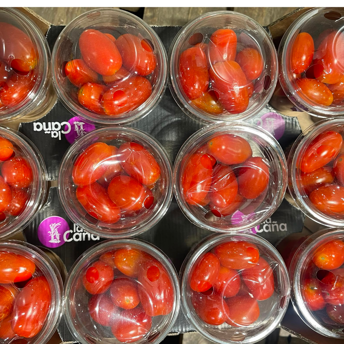 TOMATES CERISES