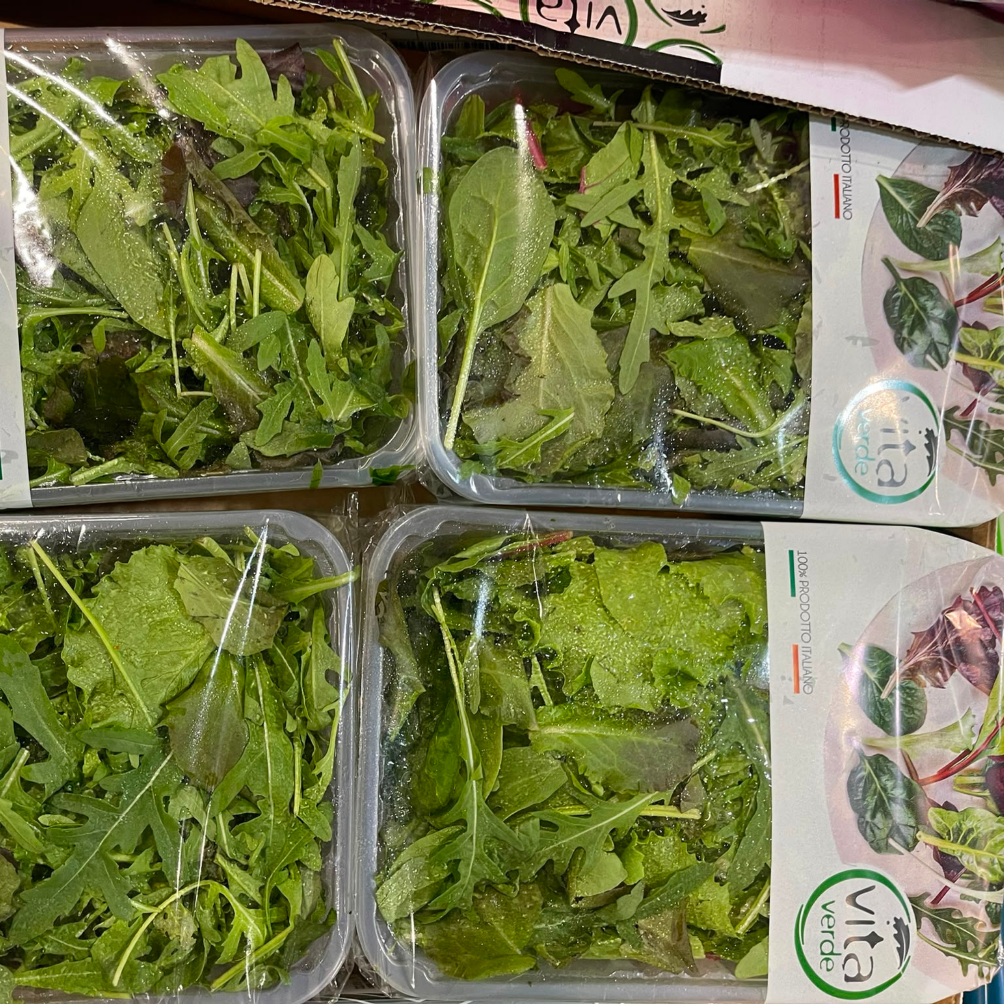 Mesclun Salade Jeunes Pousses