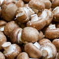 CHAMPINIONS