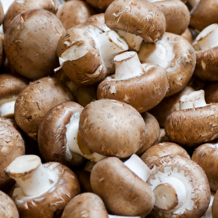 CHAMPINIONS