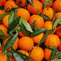 CLEMENTINES