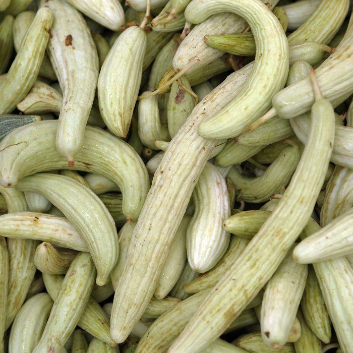 CONCOMBRE ARMENIENS