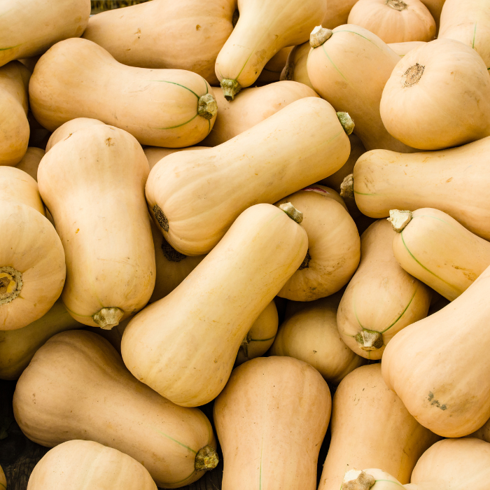 COURGES BUTTERNUT