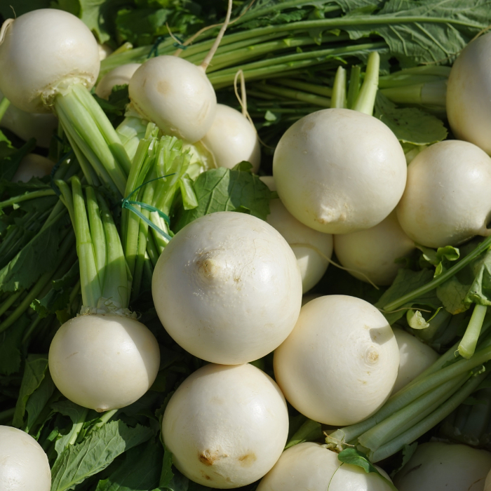 NAVETS BLANCS