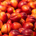 NECTARINES