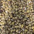 Olive vert  cassé avec ail