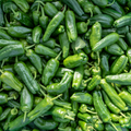 PIMENT VERT