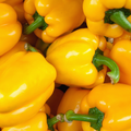 POIVRONS JAUNE