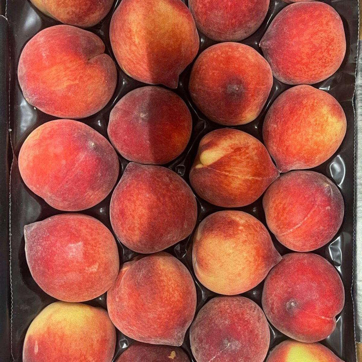PECHES