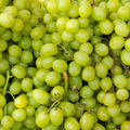 RAISINS VERTS