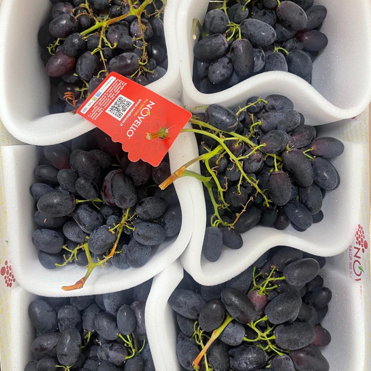 RAISINS NOIR