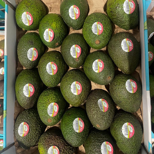 AVOCATS