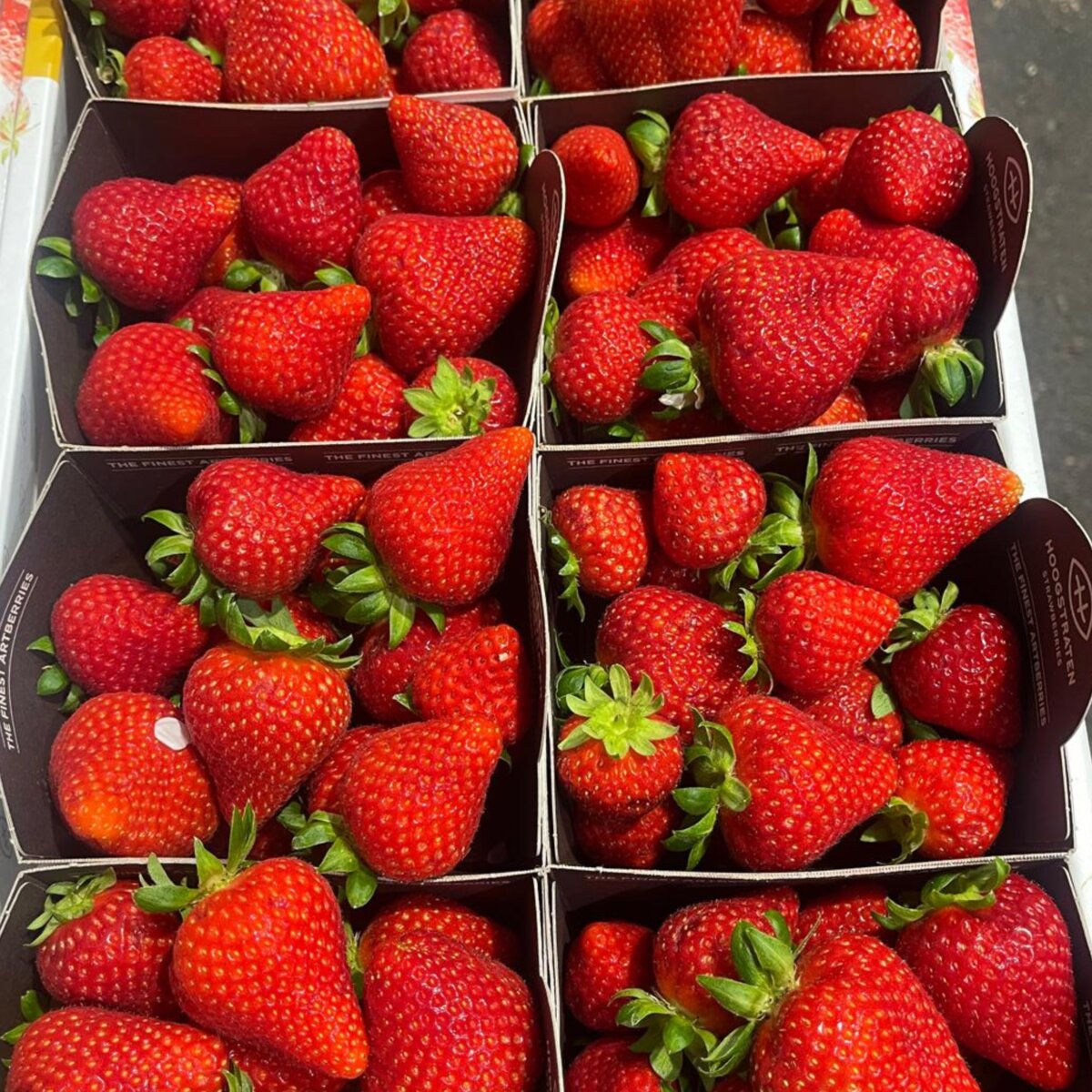 FRAISES
