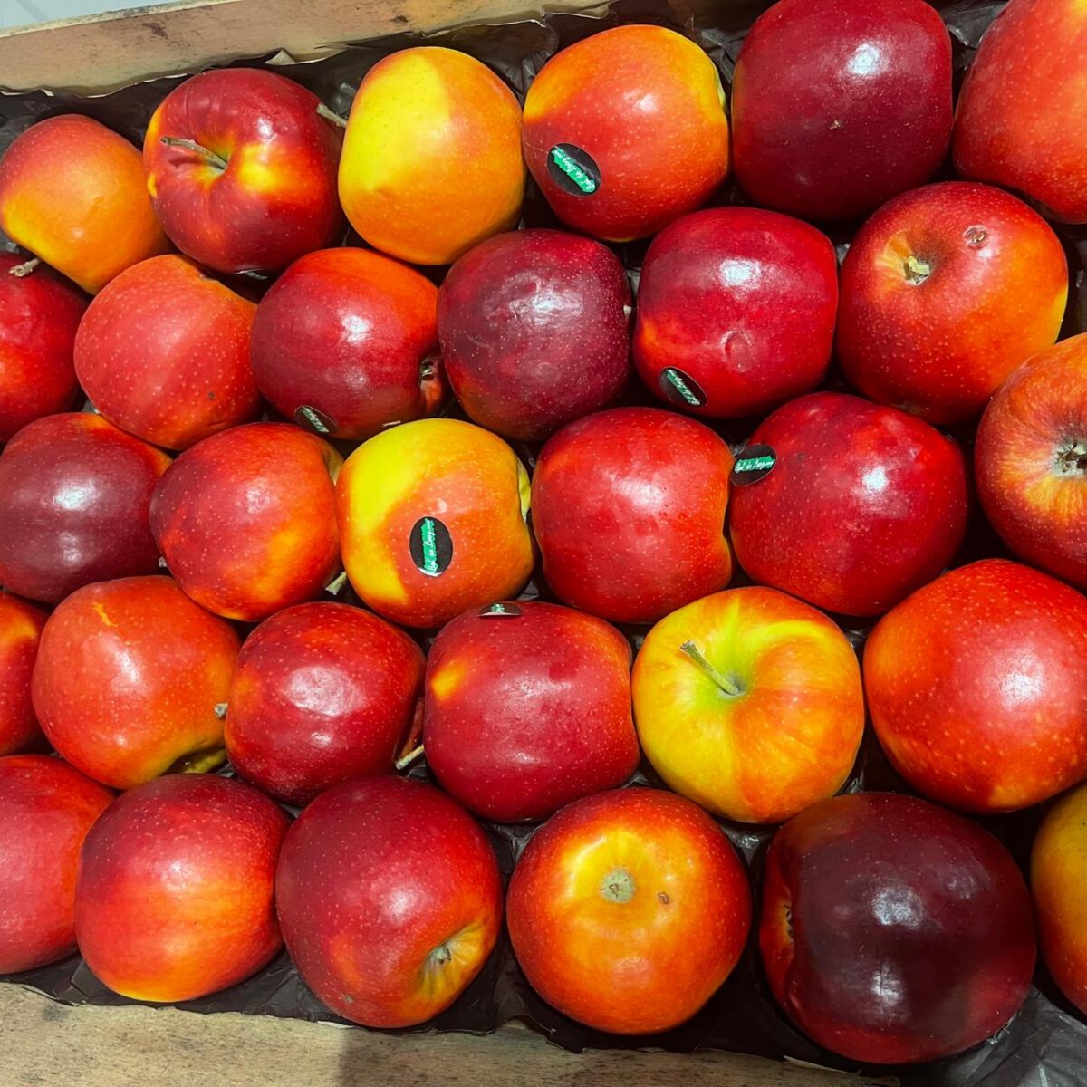 POMMES ROUGES