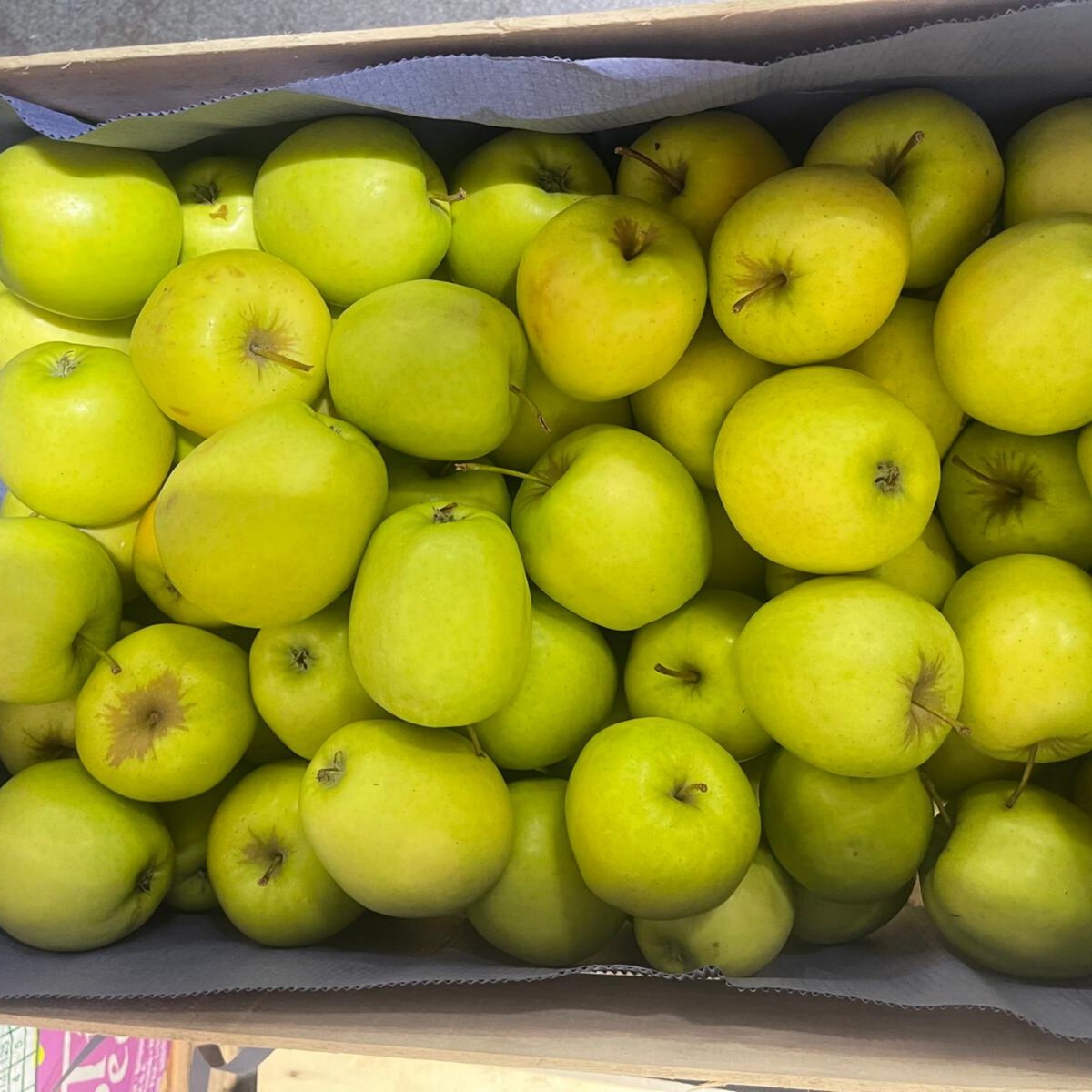 POMMES VERT